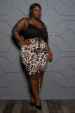 women's plus size colorblock dress