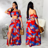 Sexy Print Tube Top Suit