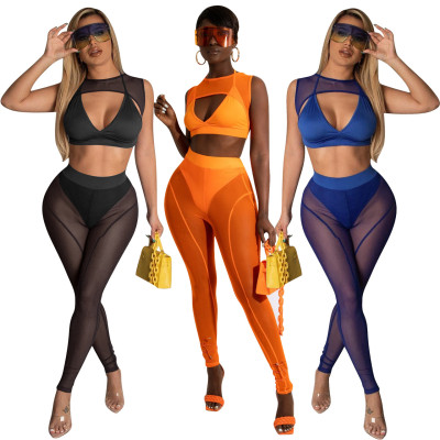 Two pieces of mesh raw edge perspective