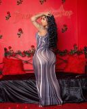 Mesh Sliver Dress Sleeveless Long Dress
