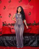 Mesh Sliver Dress Sleeveless Long Dress