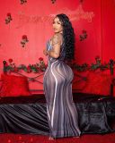 Mesh Sliver Dress Sleeveless Long Dress