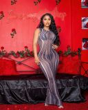 Mesh Sliver Dress Sleeveless Long Dress