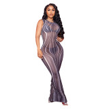 Mesh Sliver Dress Sleeveless Long Dress