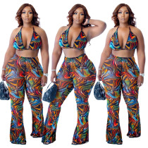 Print Bikini Beach Trousers Two-Piece Set Print Bikini Beach Trousers Two-Piece Set