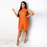Round Neck Sleeveless Fashion Embroidered Split Two Piece Set