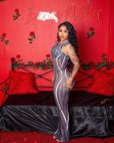 Mesh Sliver Dress Sleeveless Long Dress