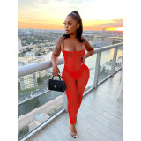 Mesh Solid Pleated Jumpsuit with Panties