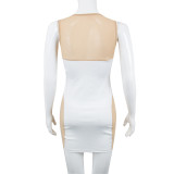 Women's sexy mesh perspective stitching milk silk contrast sexy dress
