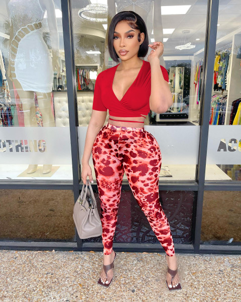 Fashion sexy mesh print two-piece set