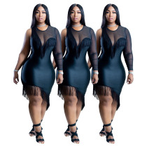 Fashionable one-sleeve mesh fringed dress