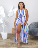 Camisole Shorts Two-Piece Sexy Deep V-Neck Striped Print Suit