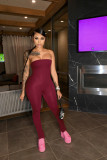 Solid color tube top sexy fashion pleated trousers jumpsuit
