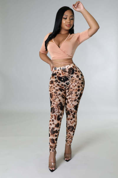 Fashion sexy mesh print two-piece set