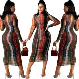 Nightclub Sexy Casual Long Sleeve Dress