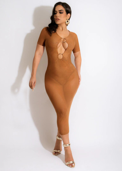 Women's Sexy Slim Fit Solid Mesh Dress