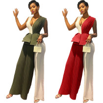 Sleek Ruffled Pleated Panel Jumpsuit