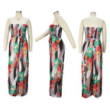 women's chiffon digital print colorful jumpsuit