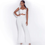 Temperament Stretch Bandeau Top High Waist Flared Pants Set