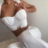 Temperament Stretch Bandeau Top High Waist Flared Pants Set