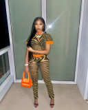 Printing Fashion T-shirt Mesh Perspective Two-piece Set