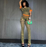 Printing Fashion T-shirt Mesh Perspective Two-piece Set