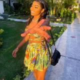 halterneck lace-up printed bikini two-piece pleated skirt