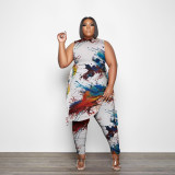 plus size women's print two piece set