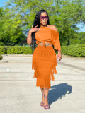Women's Solid Color Slanted Shoulder Tassel Slim Dress Two Piece Plus Size Women's Clothing