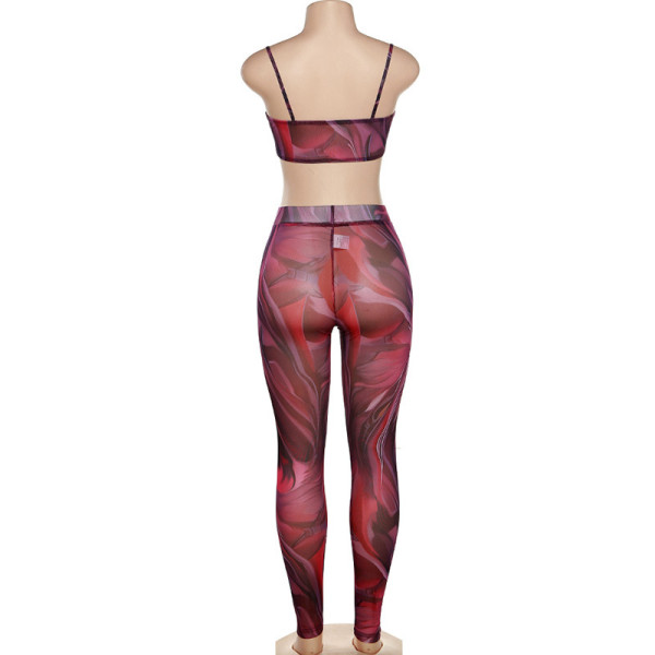 Sexy Cutout Mesh Camisole High Waist Sheer Print Pants Set