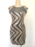 Sleeveless Hip Fit Slim Mesh Piece Sheer Women's Dress