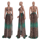 Women's Leopard Print Tie-Up Swimsuit