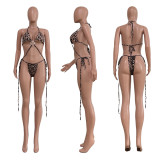 Women's Leopard Print Tie-Up Swimsuit