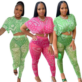 Cute fashion mesh print two-piece set