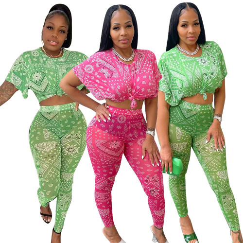 Cute fashion mesh print two-piece set