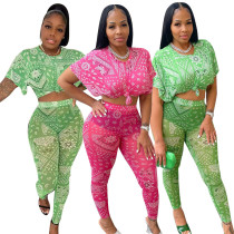 Cute fashion mesh print two-piece set Cute fashion mesh print two-piece set