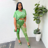 Cute fashion mesh print two-piece set