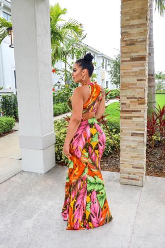 place print dress