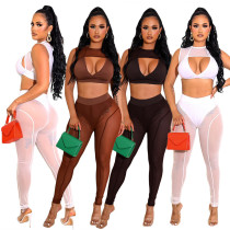 Mesh Panel Casual Slim Pants Two-Piece Set Mesh Panel Casual Slim Pants Two-Piece Set
