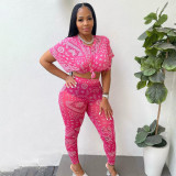 Cute fashion mesh print two-piece set