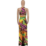 place print dress