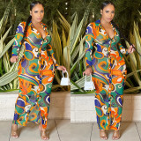 Fashion Sexy Mesh Sheer Print V-Neck Long Sleeve Dress