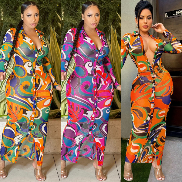 Fashion Sexy Mesh Sheer Print V-Neck Long Sleeve Dress