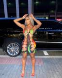Mesh Print Halter Hoop Cutout Dress
