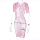 Cutout Mesh Short Sleeve Crew Neck Dress
