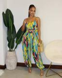 Fashion Sexy Colorful Print Two Piece Set