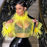 Fashion High Neck Long Sleeve Feather Panel Dense Mesh Sheer Top