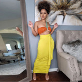 Fashion open back tube top sexy open back high waist pleated slim skirt suit