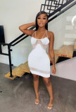 Sling Sexy Mesh Panel Dress