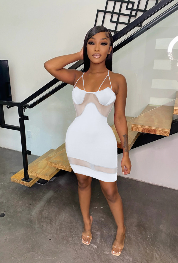 Sling Sexy Mesh Panel Dress